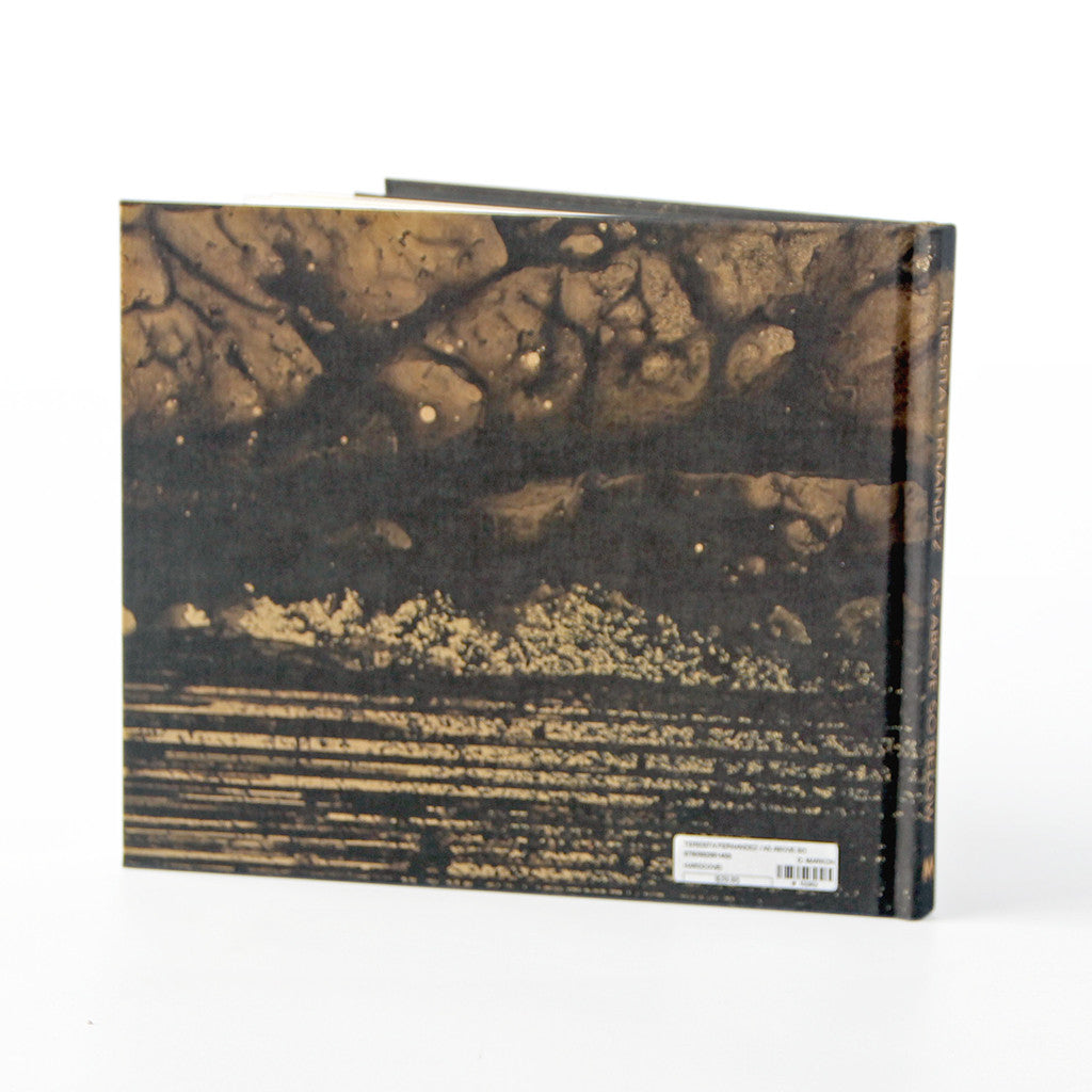 Teresita Fernandez: As Above, So Below