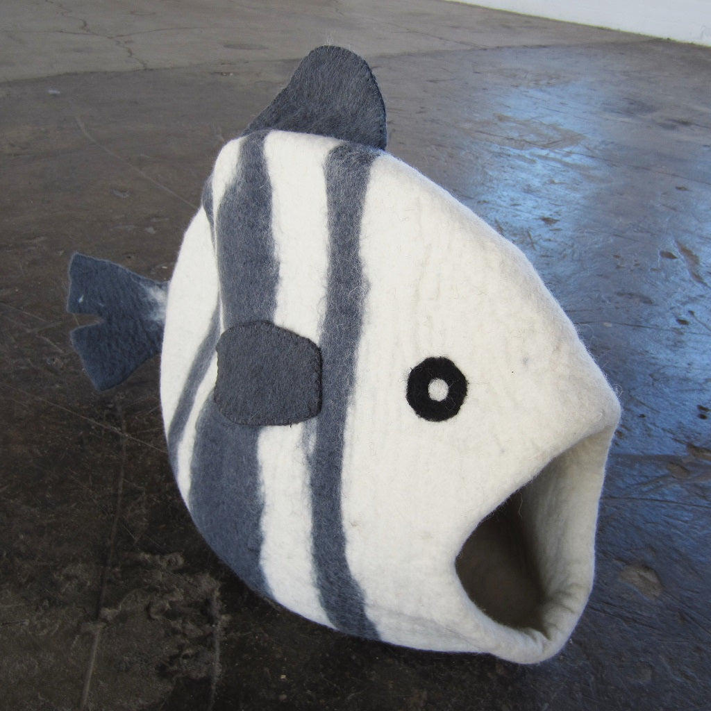 Cat Pod: White Fish