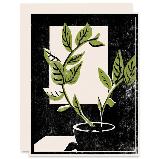 Greeting Card: Plant by the Window