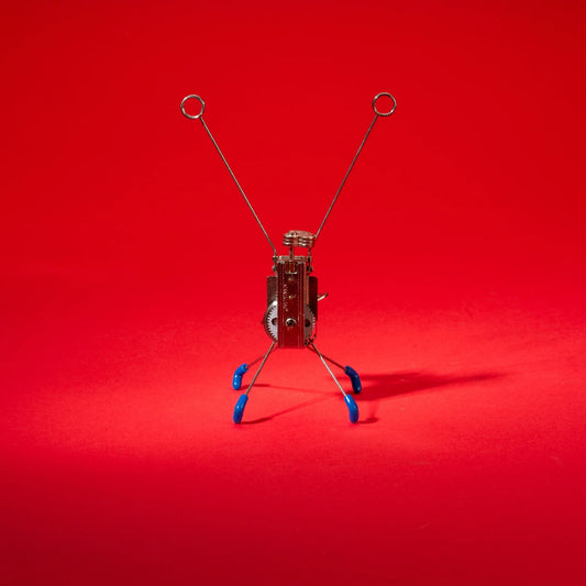 Wind Up Critters: Cranky