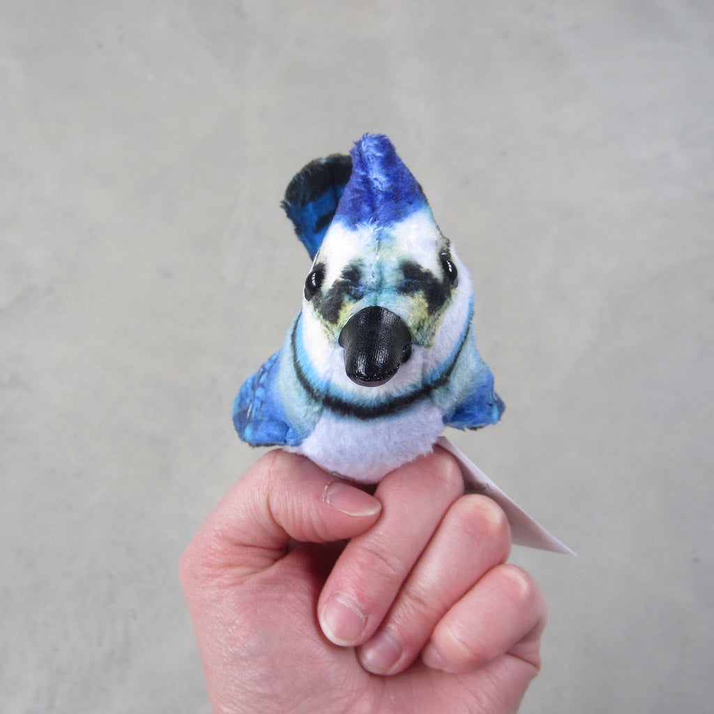 Finger Puppet: Mini Blue Jay