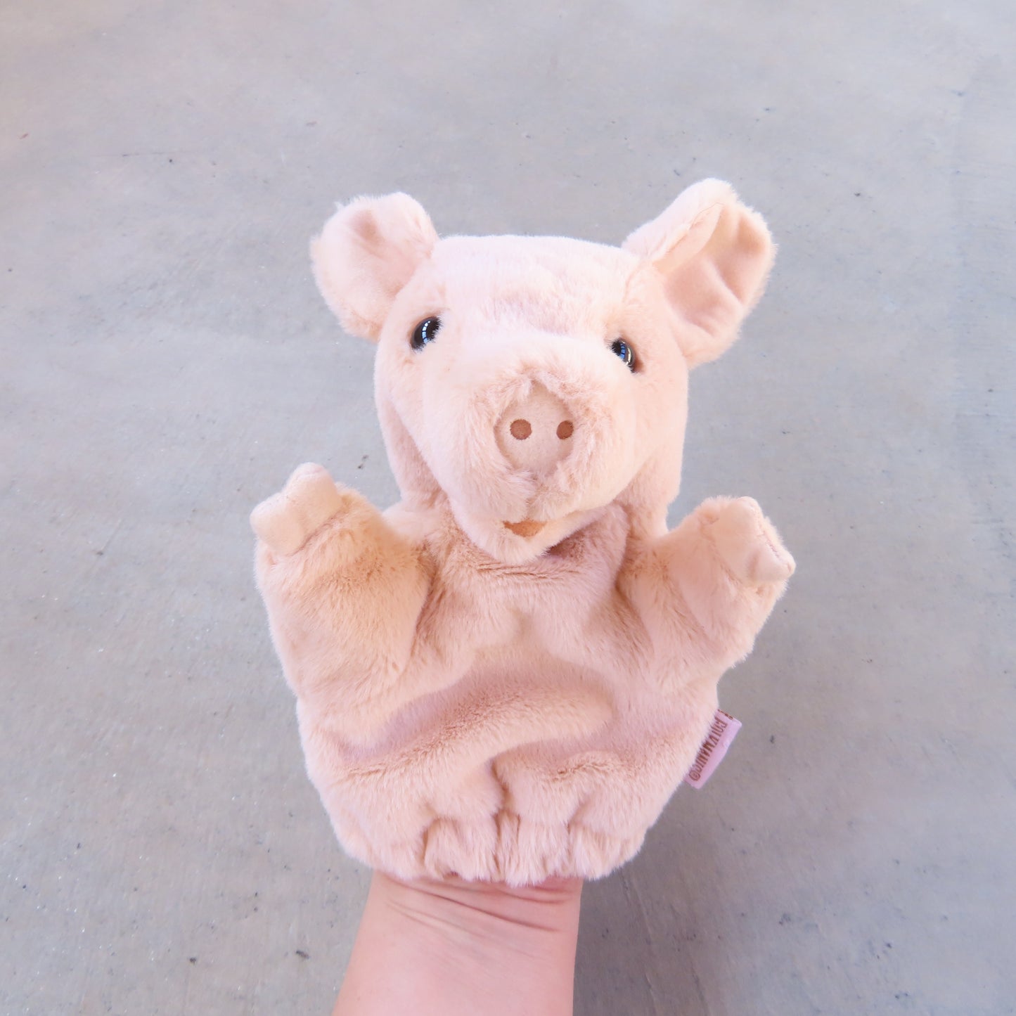 Hand Puppet: Little Pig