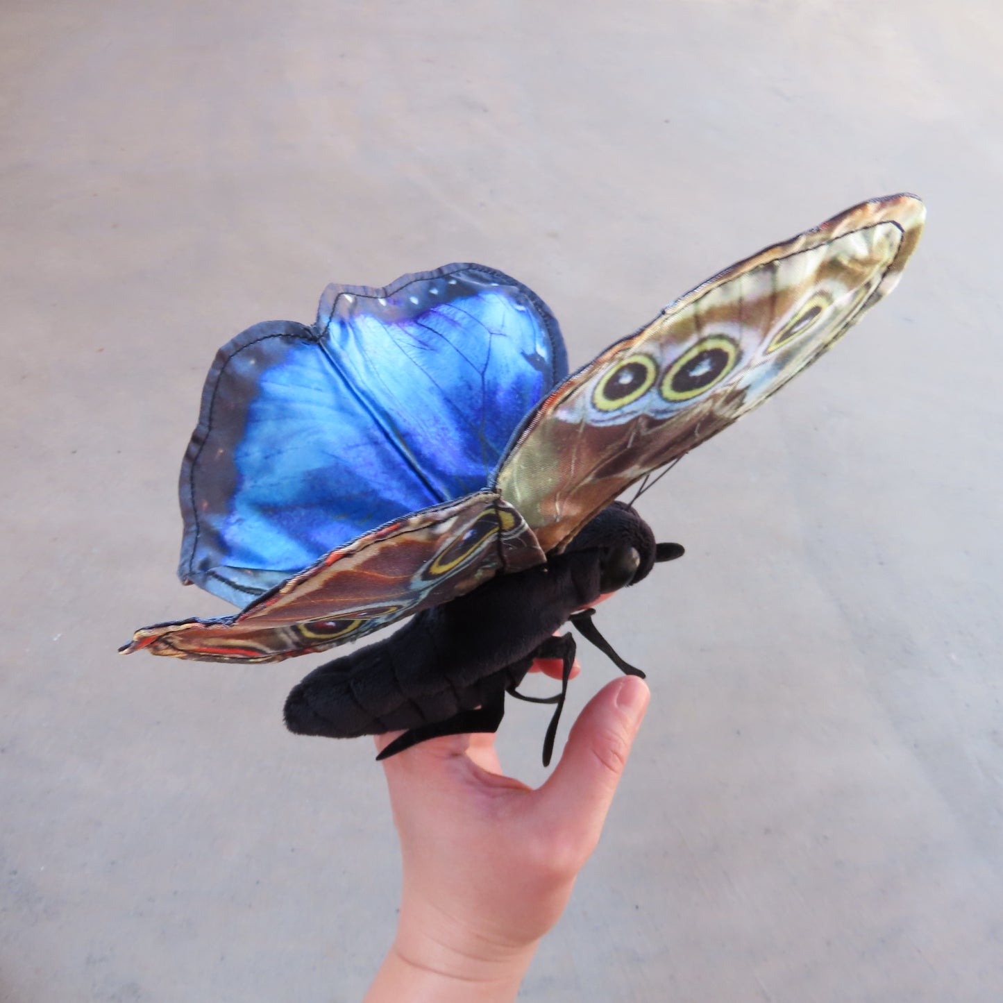 Finger Puppet: Blue Morpho Butterfly