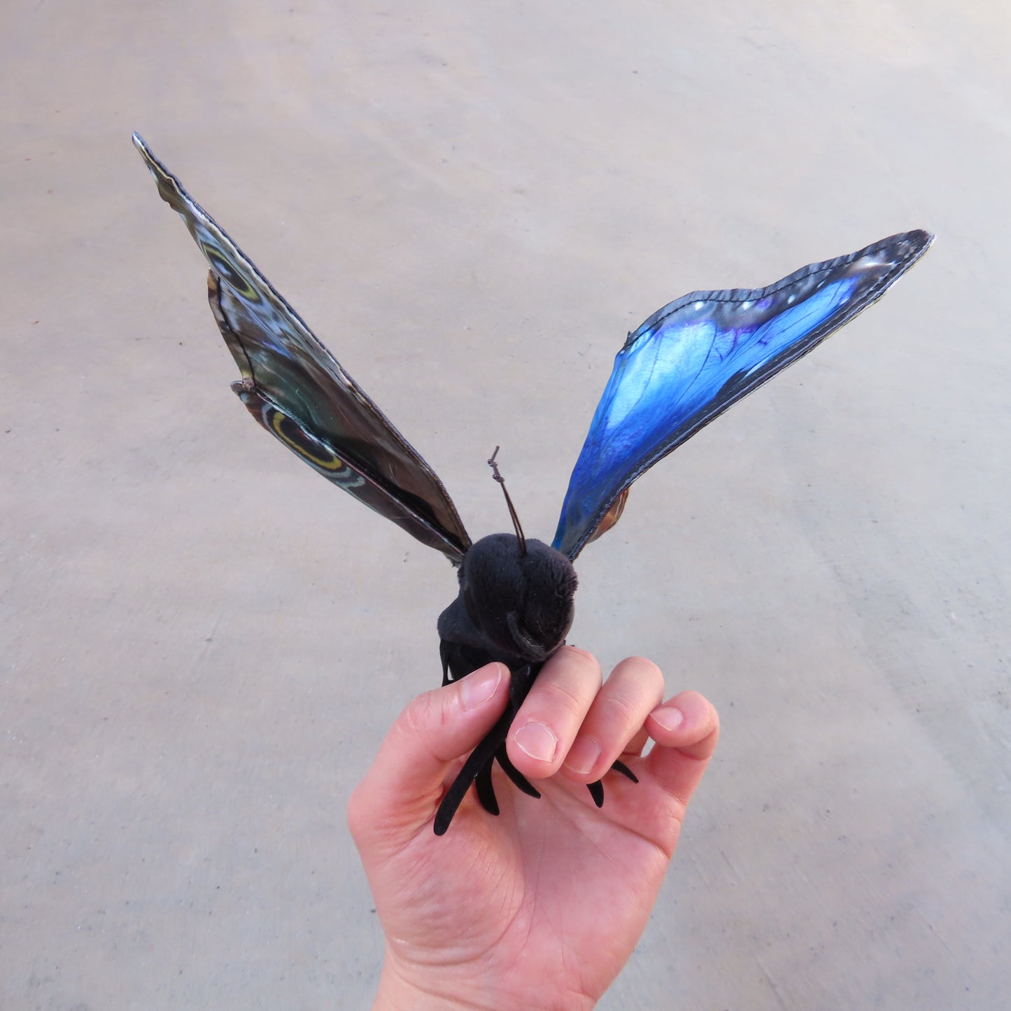 Finger Puppet: Blue Morpho Butterfly