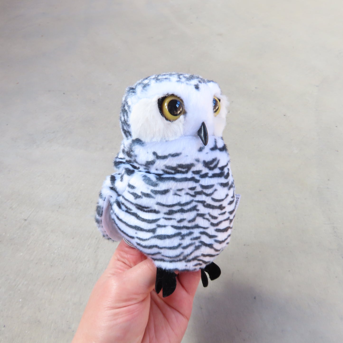 Hand Puppet: Small Snowy Owl