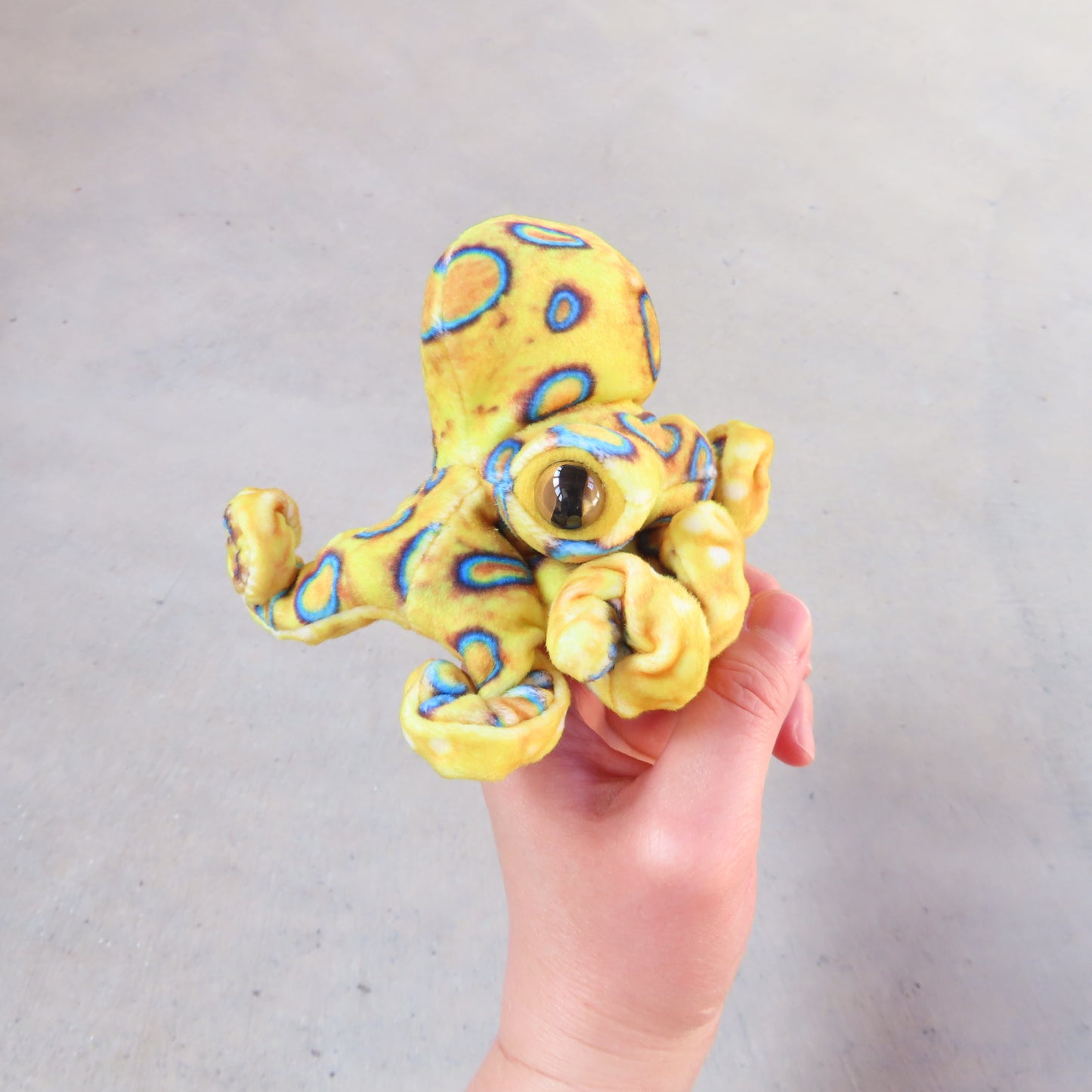 Finger Puppet: Mini Blue Ringed Octopus