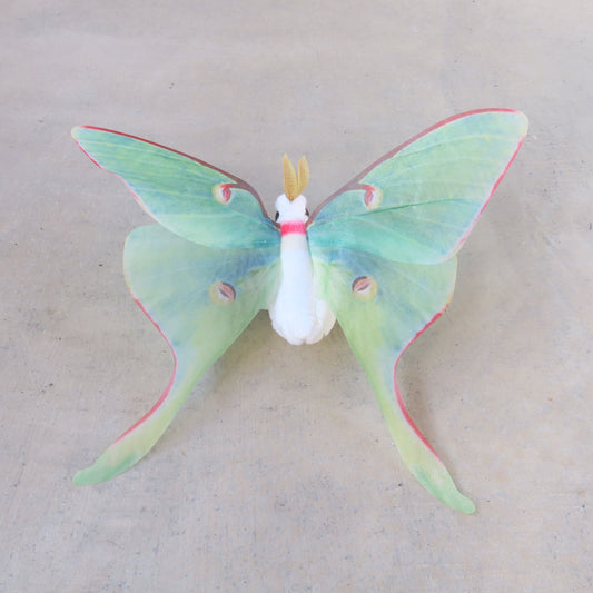 Finger Puppet: Mini Luna Moth