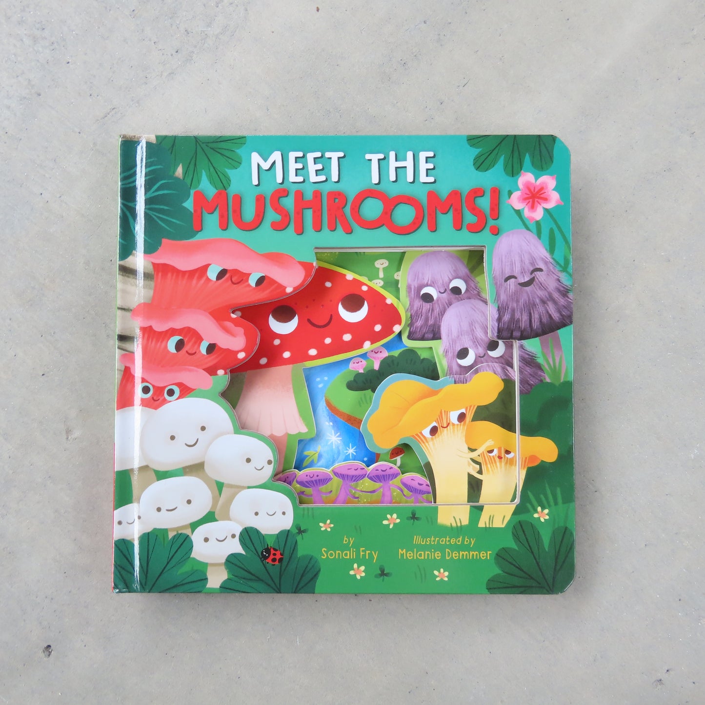 Meet the Mushrooms!