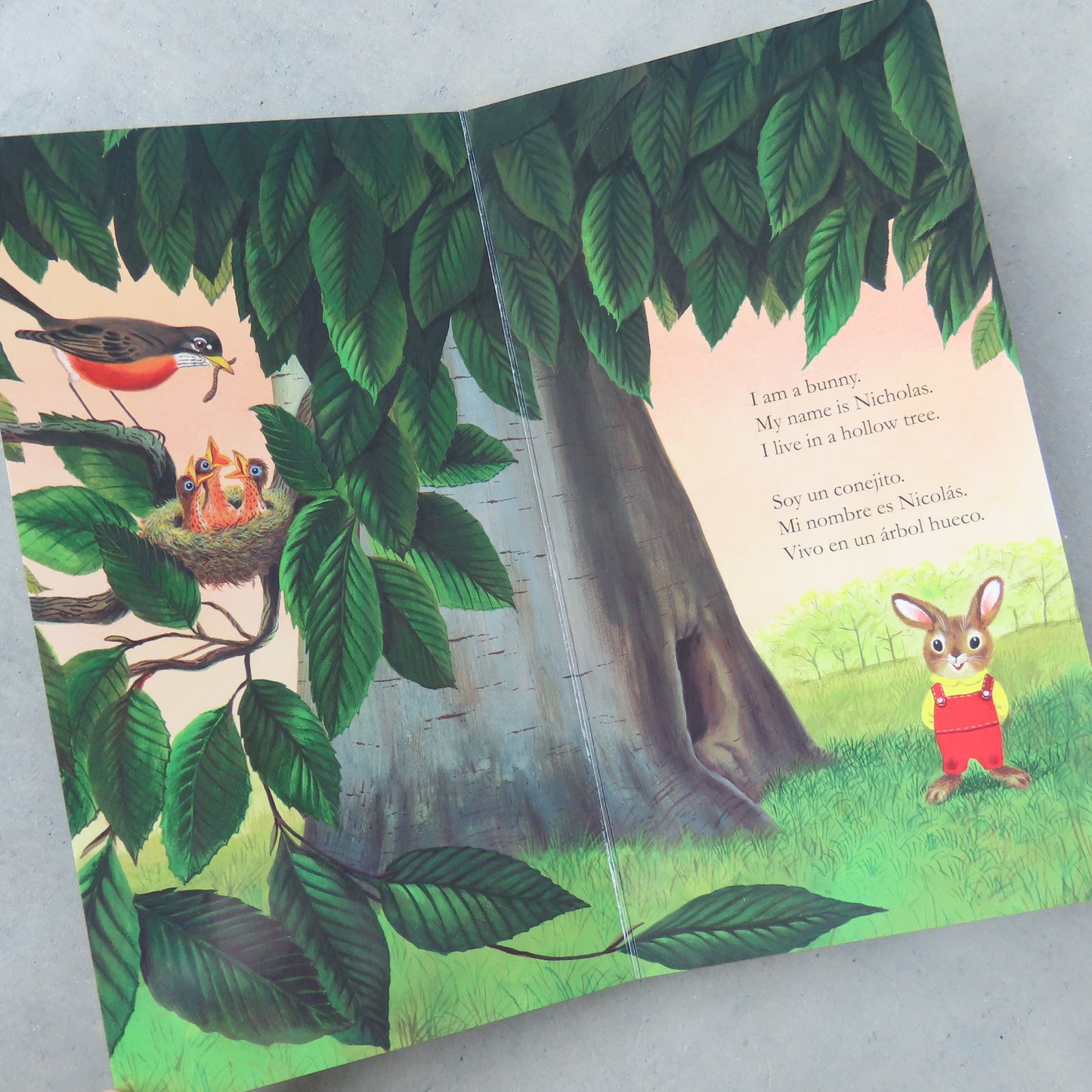 I Am a Bunny / Soy Un Conejito