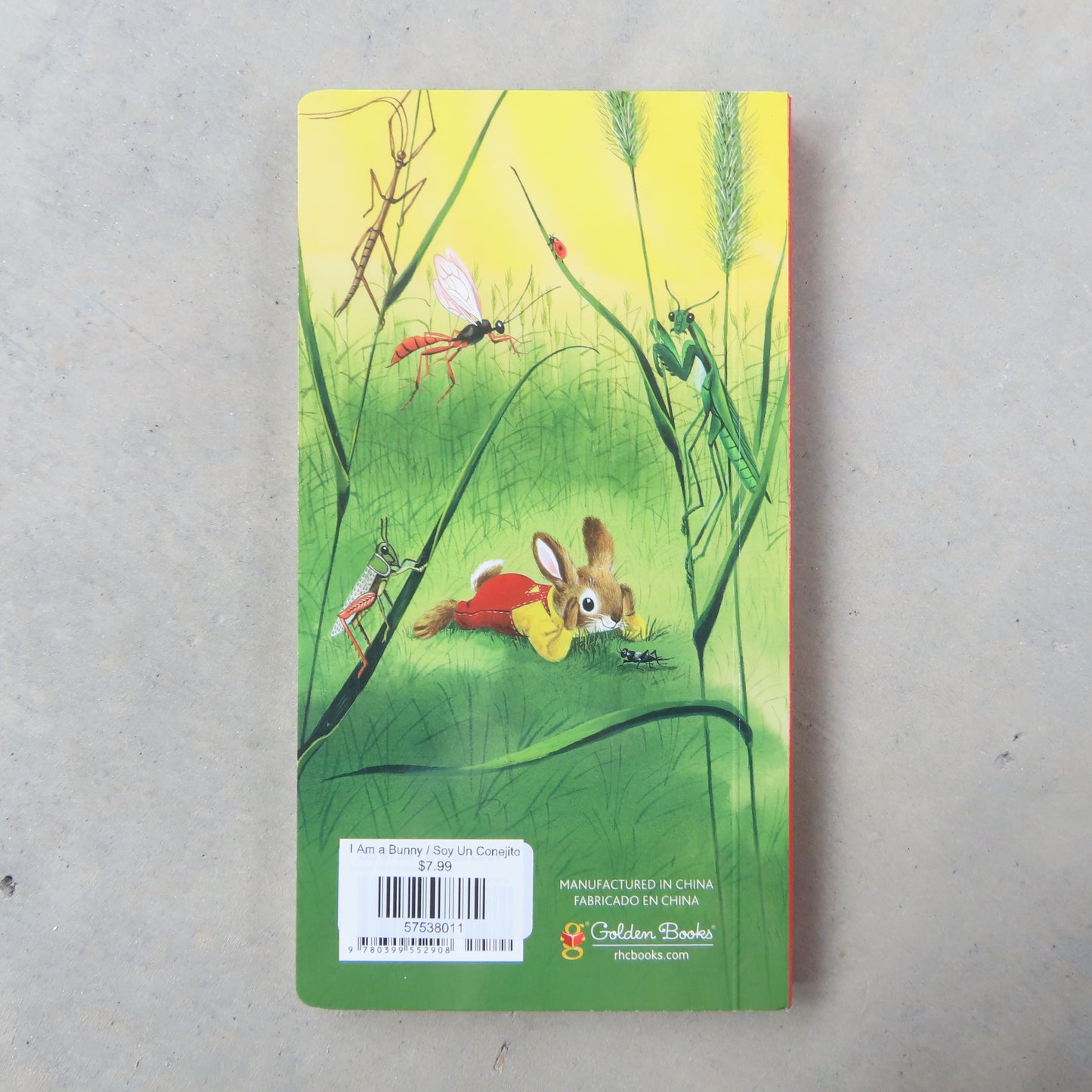 I Am a Bunny / Soy Un Conejito