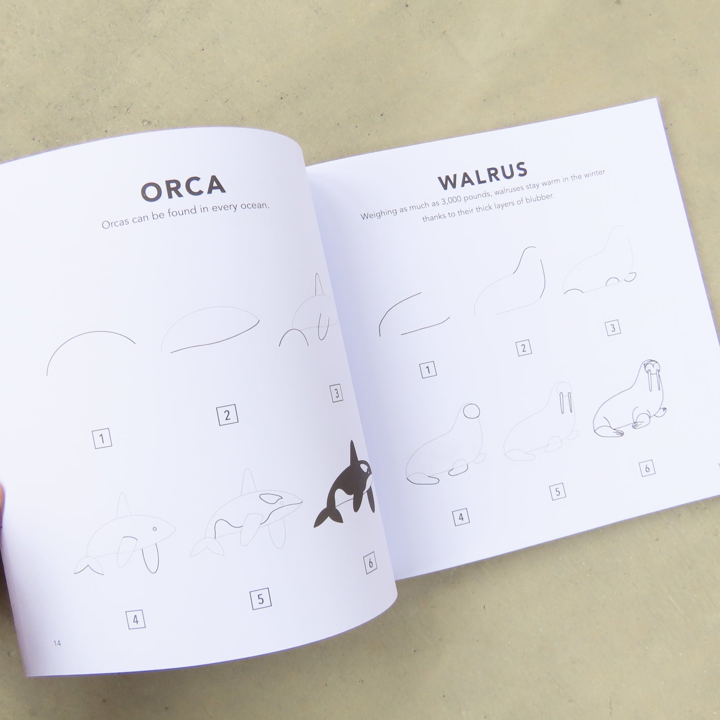 How to Draw Under the Sea