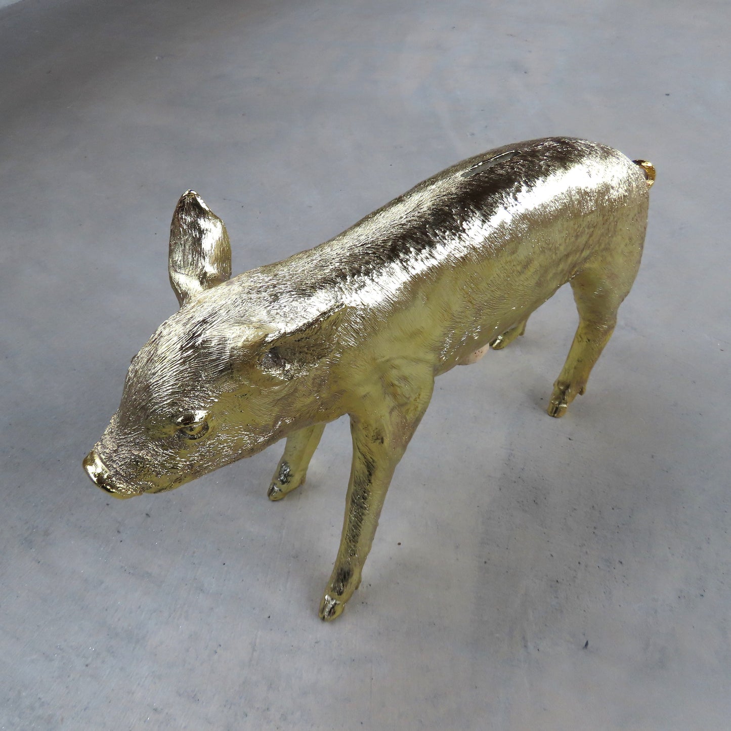 Bank in the Form of a Pig