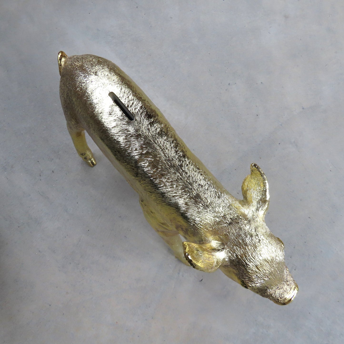 Bank in the Form of a Pig