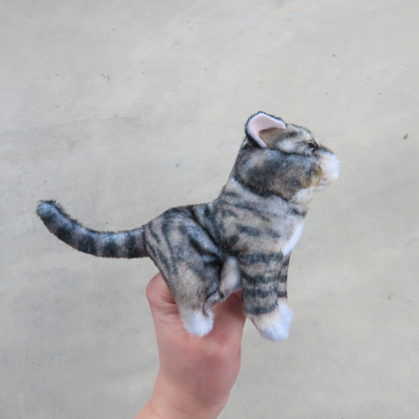 Finger Puppet: Mini Tabby Cat