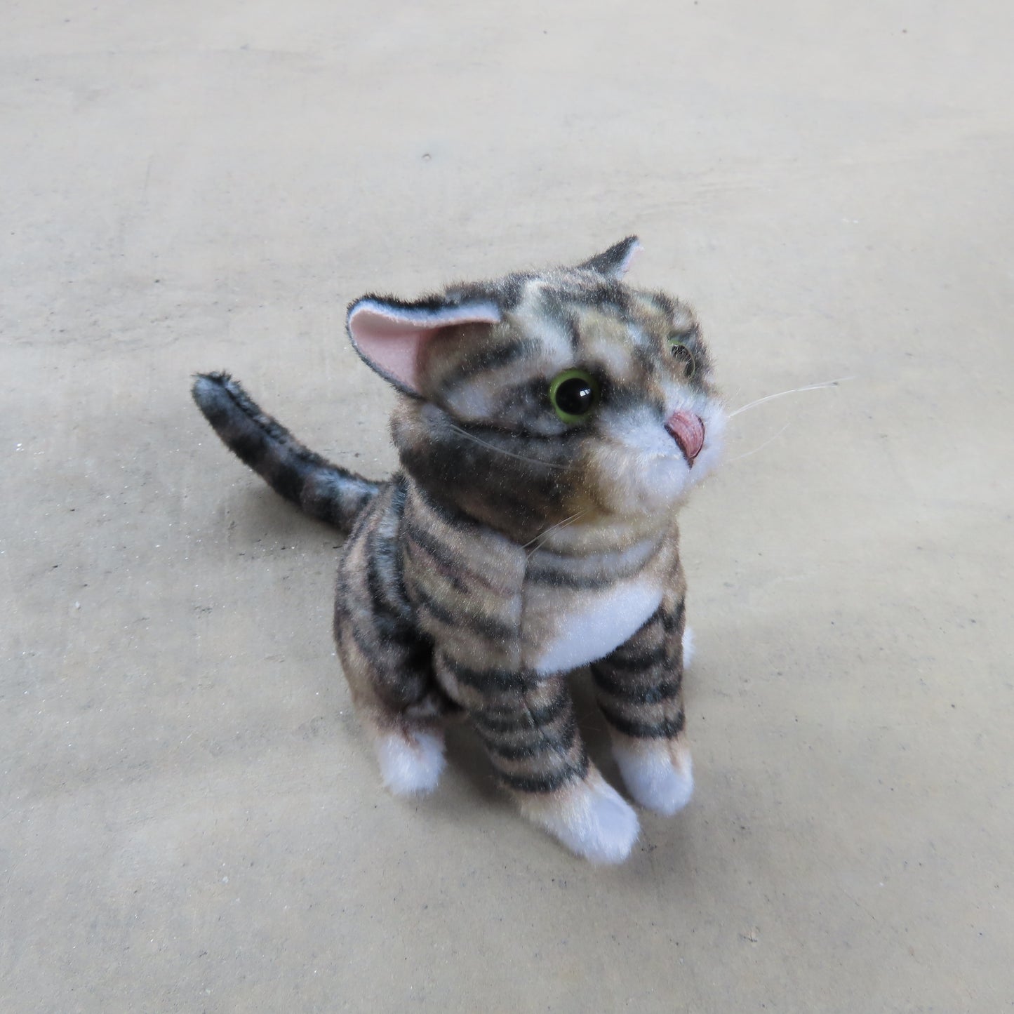 Finger Puppet: Mini Tabby Cat