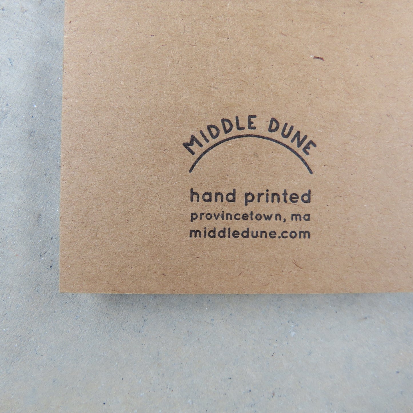 Coil Notepad: Night Bun