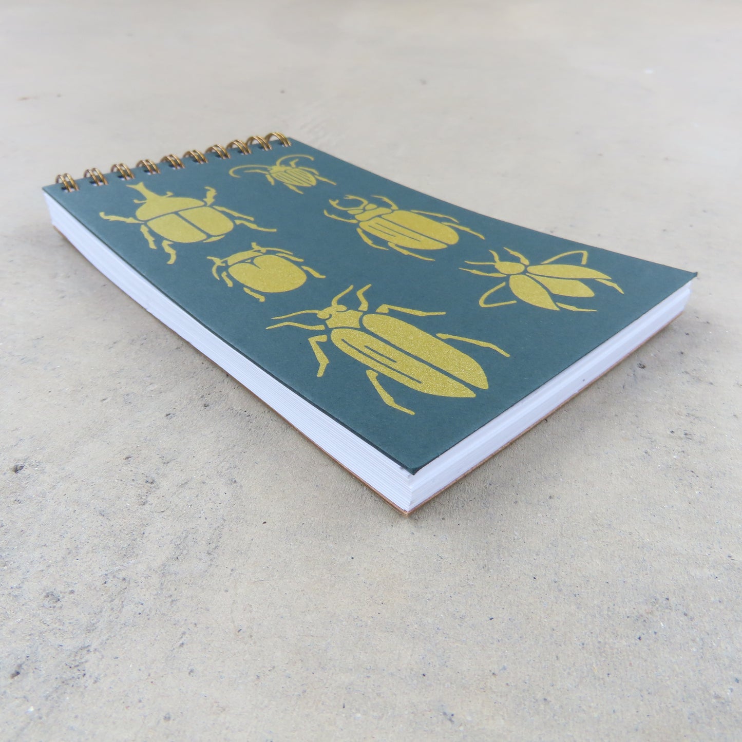 Coil Notepad: Beetle