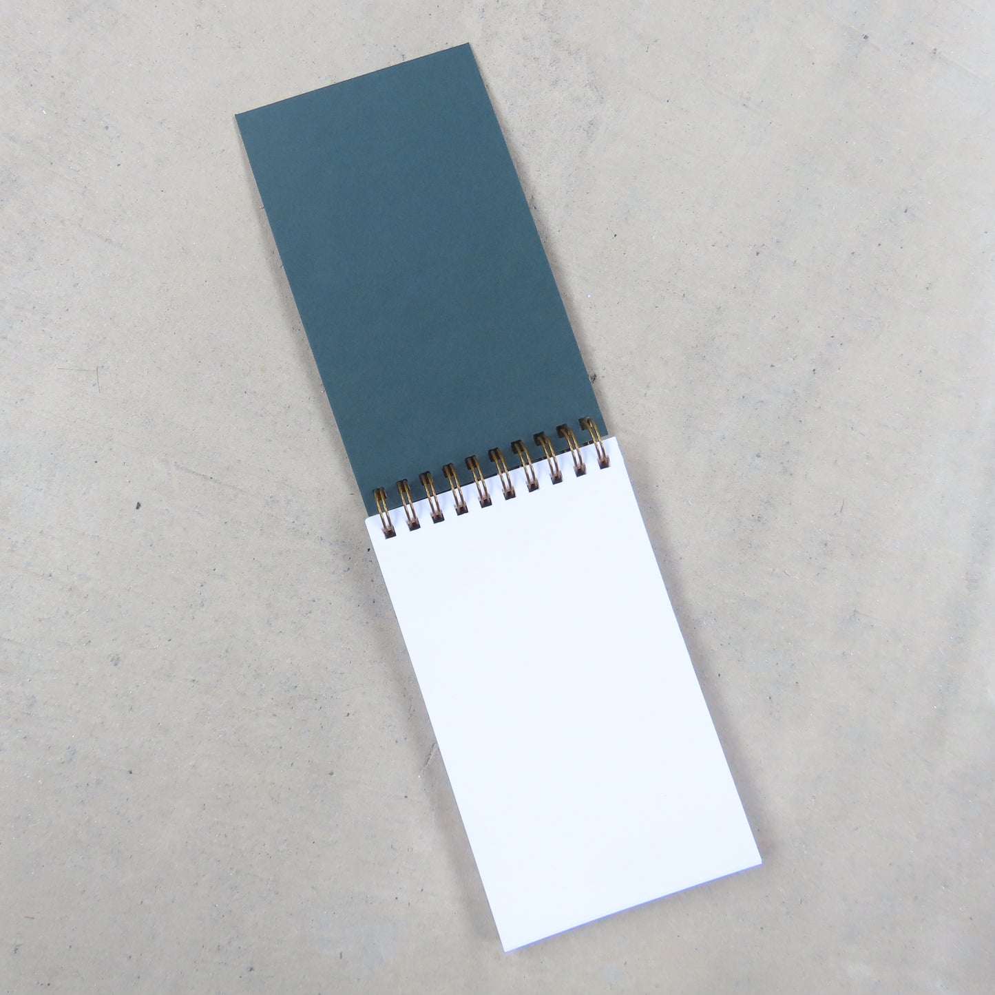 Coil Notepad: Beetle