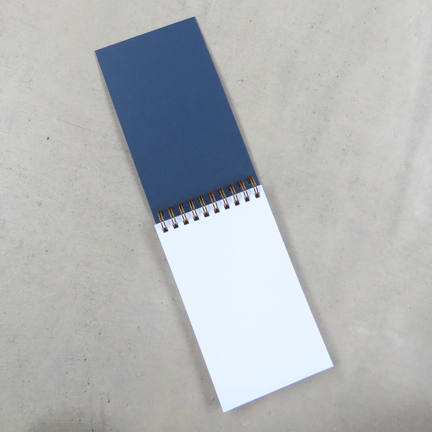 Coil Notepad: Sardine