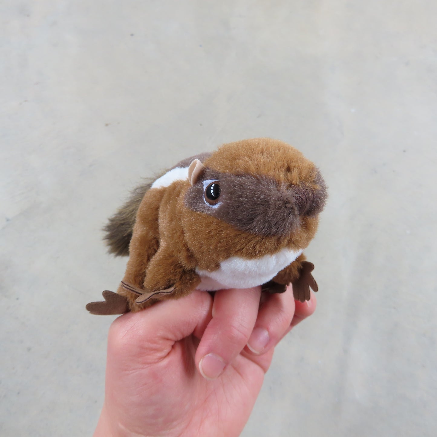 Finger Puppet: Mini Chipmunk