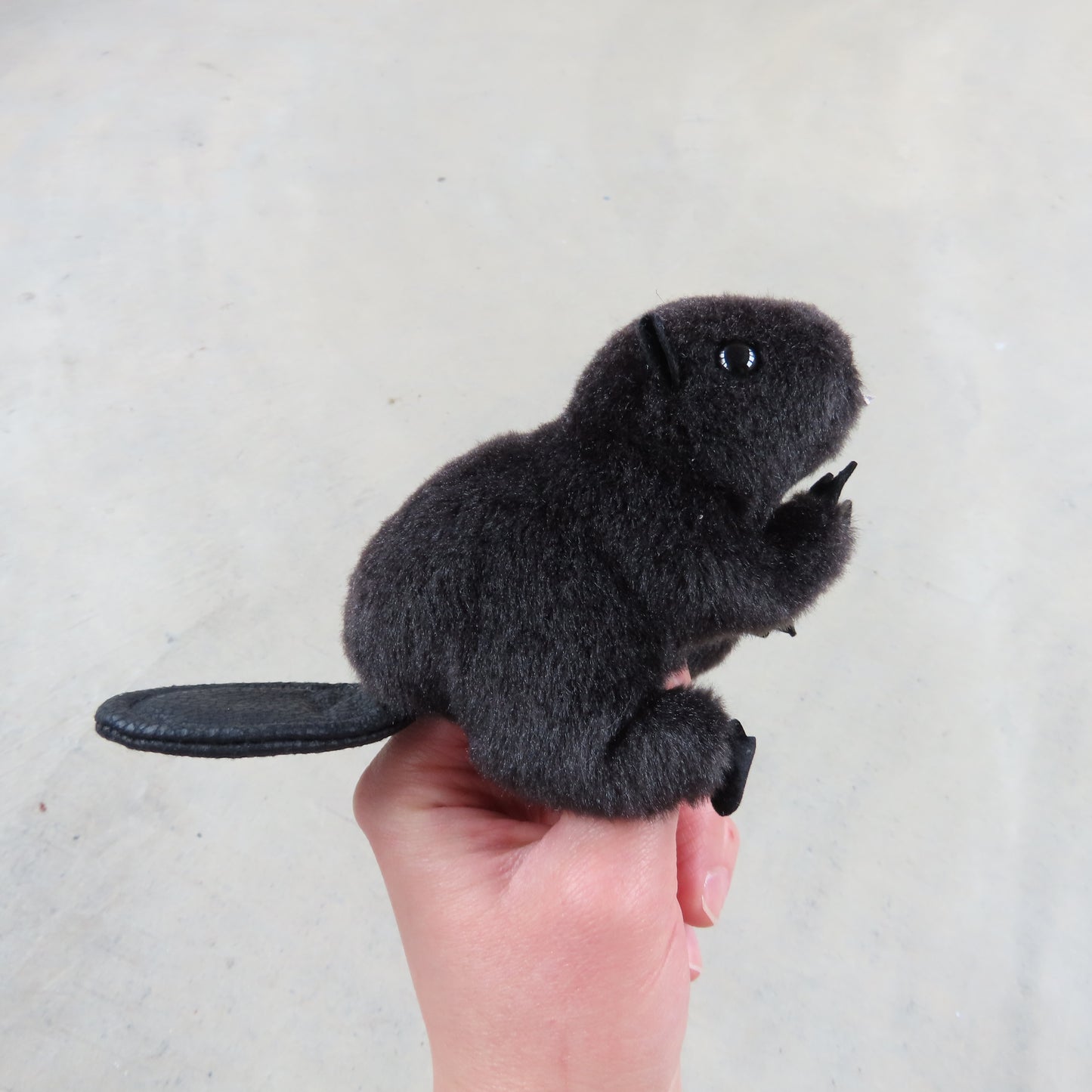 Finger Puppet: Mini Beaver