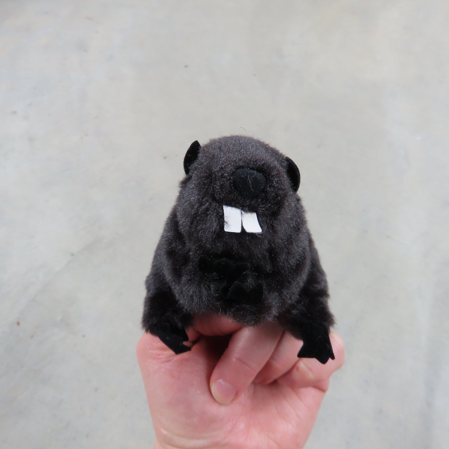 Finger Puppet: Mini Beaver