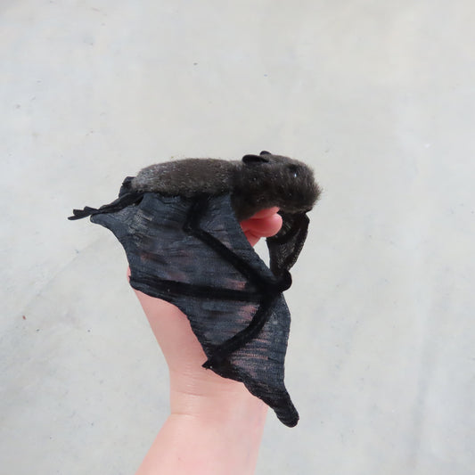 Finger Puppet: Mini Bat