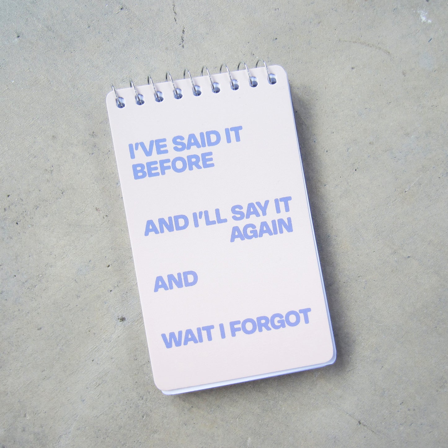 Spiral Notebook: Said it Before
