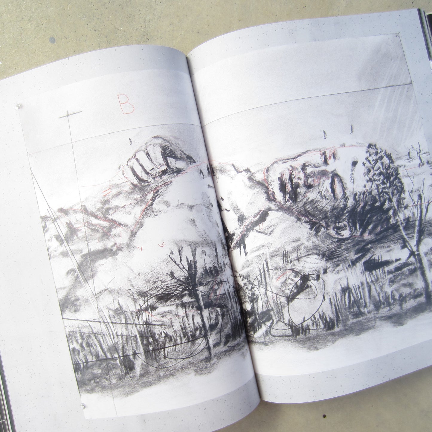 William Kentridge: The Head and the Load