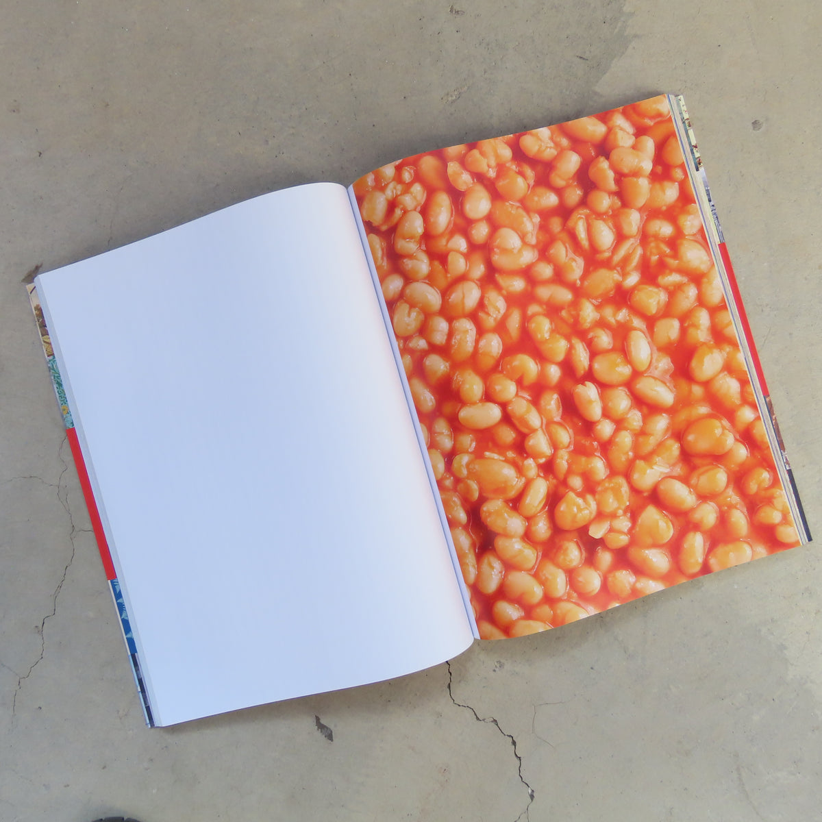 Cut Up This Book: Creative Papers
