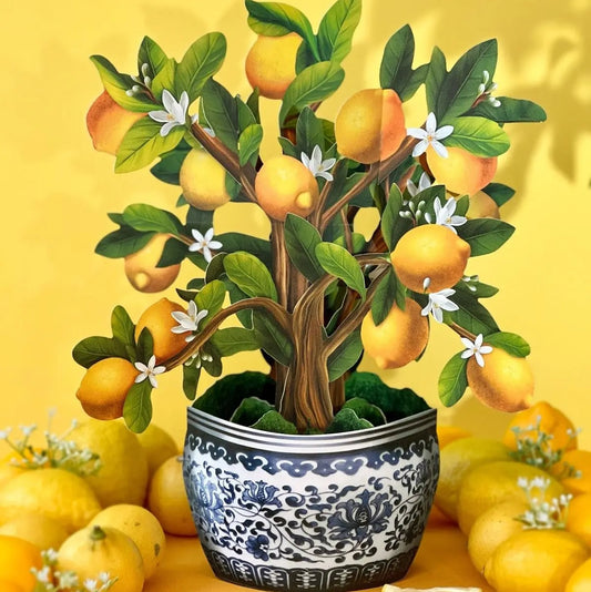 Paper Bouquet: Lemon Tree