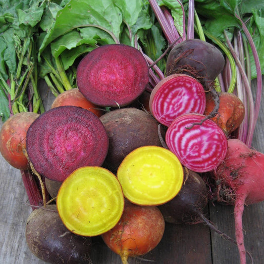 Seeds: Brilliant Beet Blend