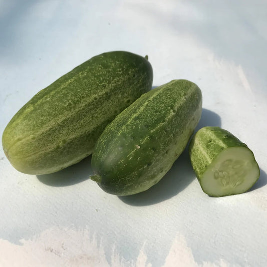 Seeds: Homemade Pickles Cucumber