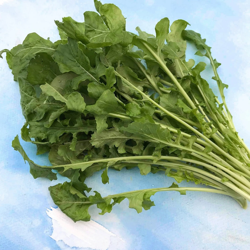 Seeds: Arugula