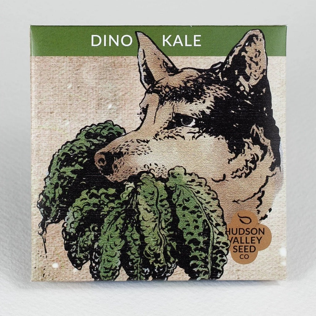 Seeds: Dino Kale