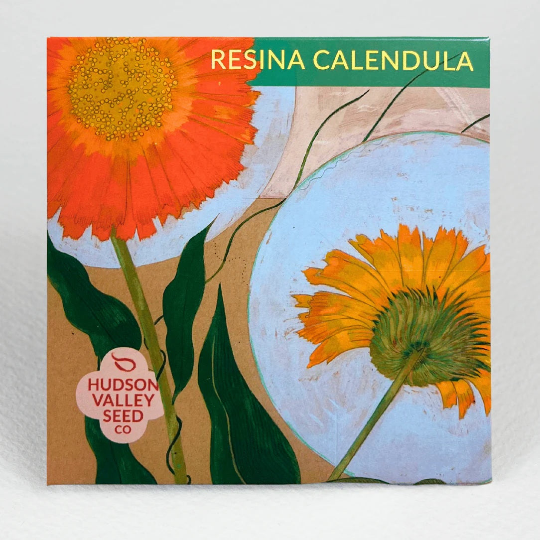 Seeds: Resina Calendula