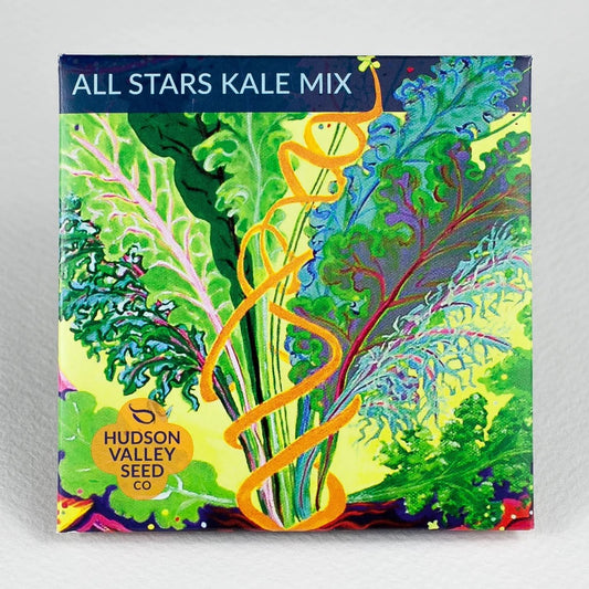 Seeds: All Stars Kale