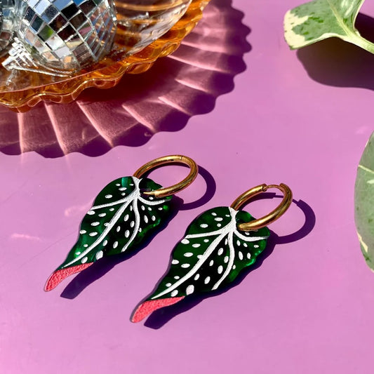 Begonia Leaves Acrylic Earrings