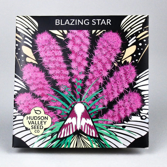 Seeds: Blazing Star