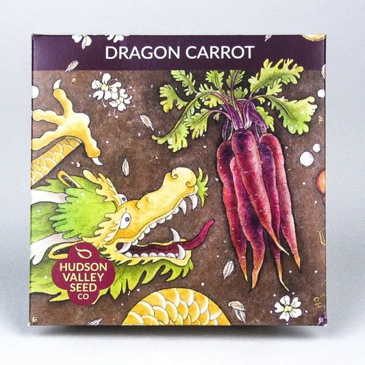 Seeds: Dragon Carrot