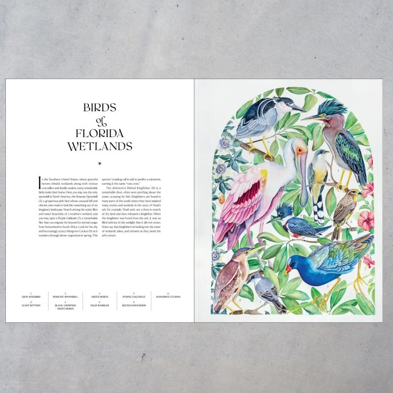 The Illuminated Book of Birds