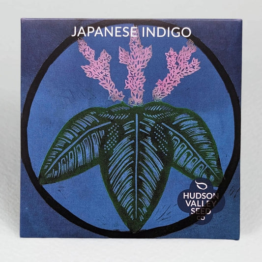 Seeds: Japanese Indigo