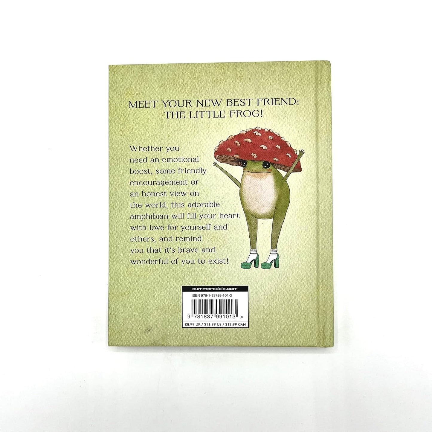 The Little Frog's Guide to Self Care