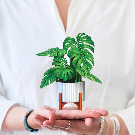 Mini Paper Plant: Monstera