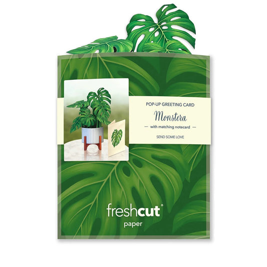 Mini Paper Plant: Monstera