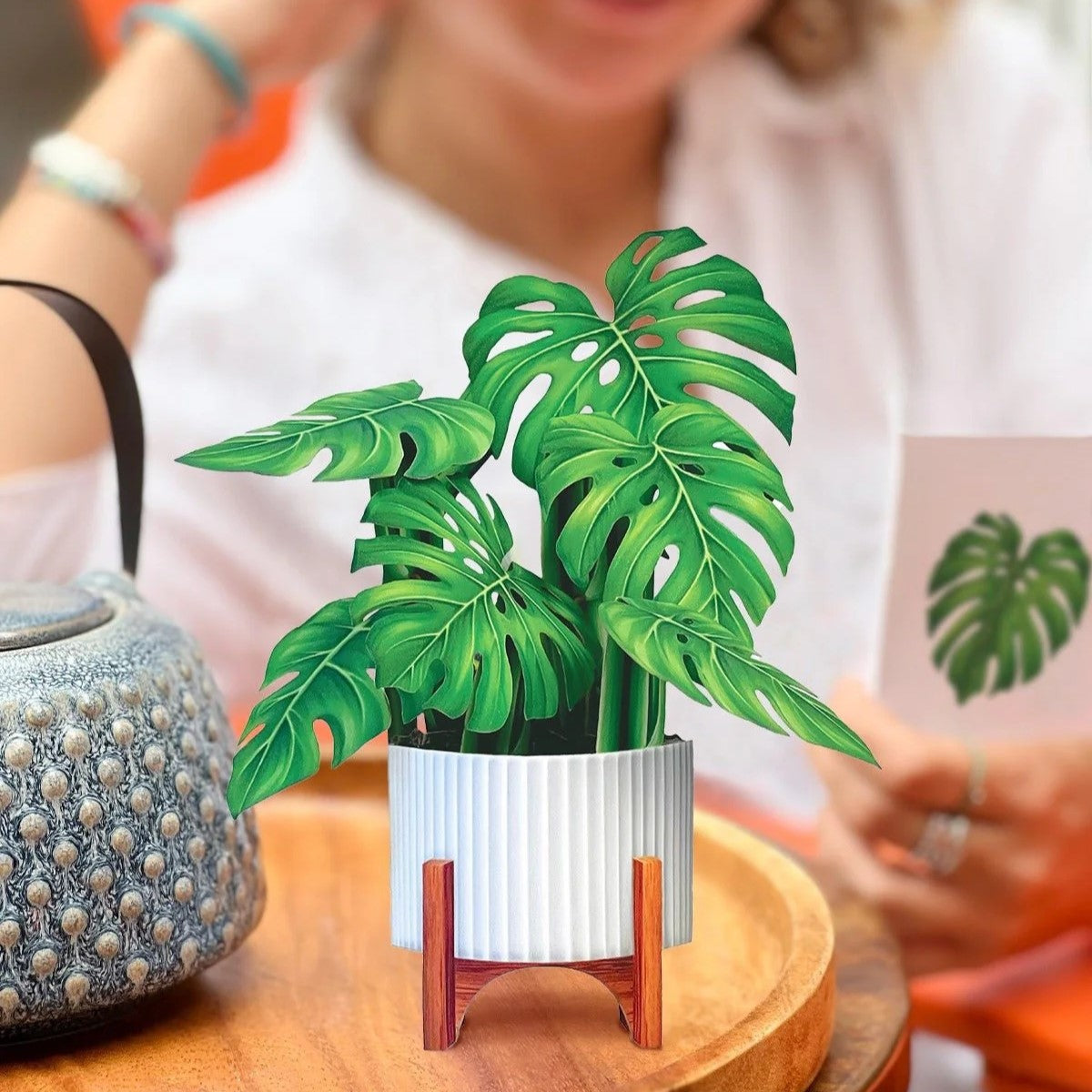 Mini Paper Plant: Monstera