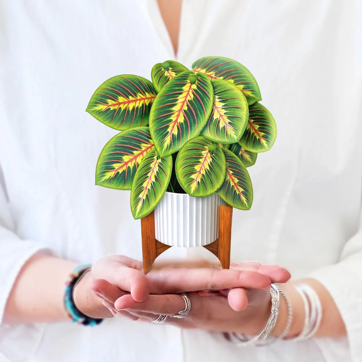 Mini Paper Bouquet: Prayer Plant