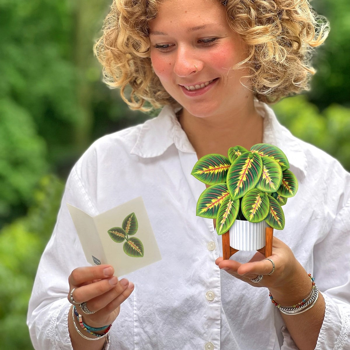 Mini Paper Bouquet: Prayer Plant