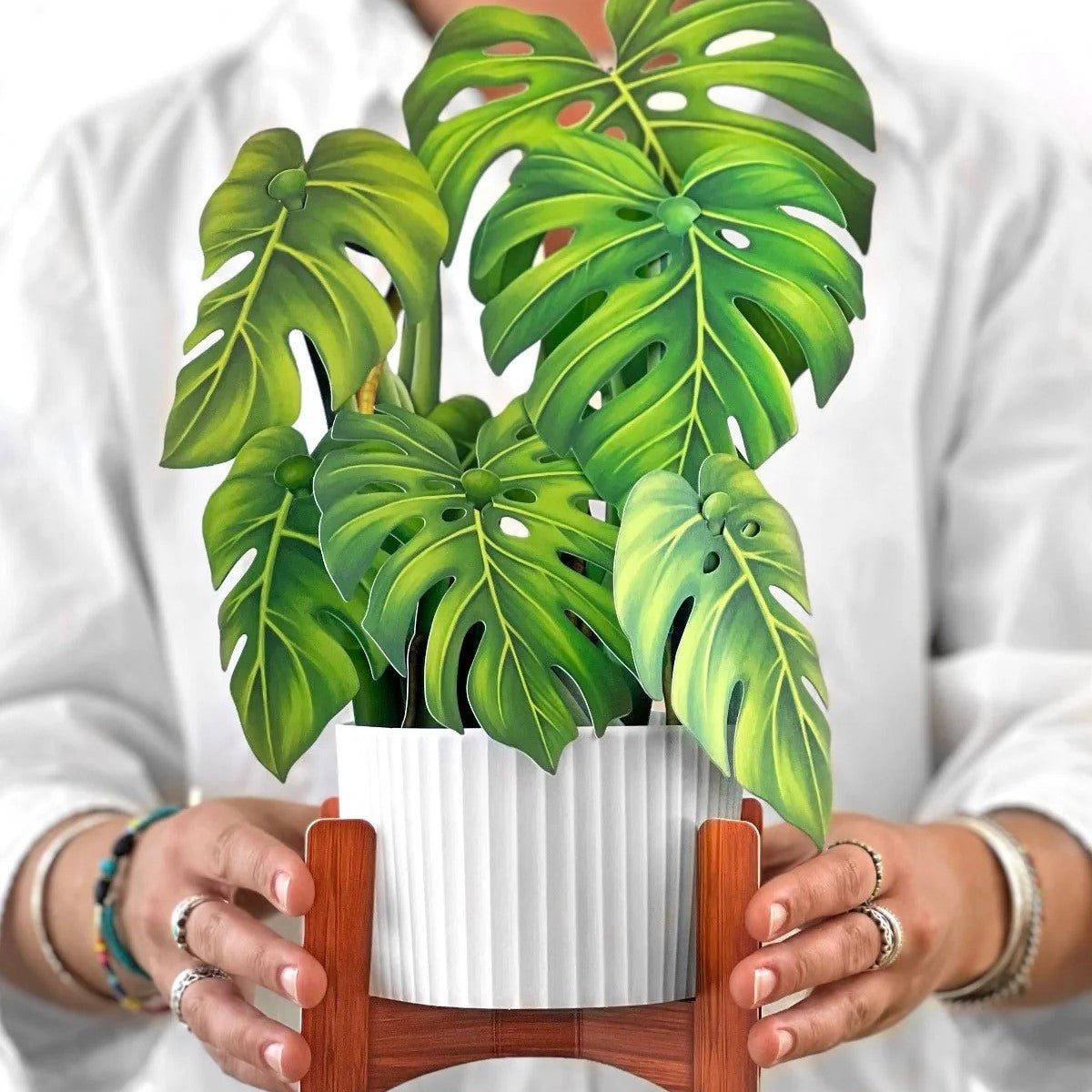 Paper Potted Plant: Monstera