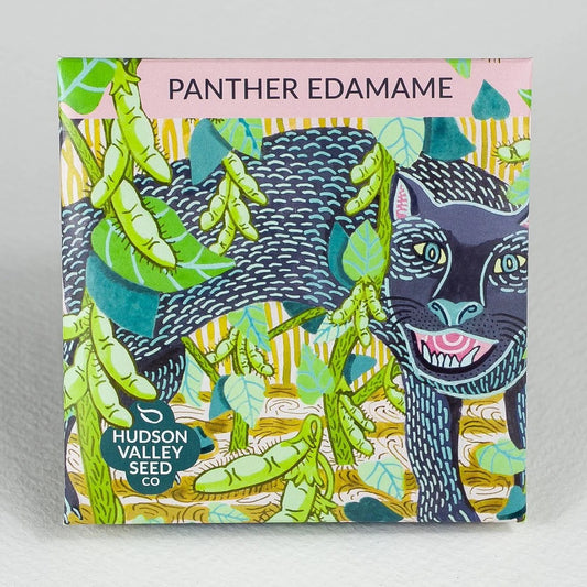 Seeds: Panther Edamame Soybean